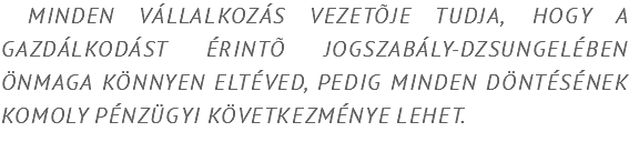 &nbsp;Minden vállalkozás vezetõje tudja, hogy a gazdálkodást érintõ jogszabály-dzsungelében önmaga könnyen eltéved, pedig minden döntésének komoly pénzügyi következménye lehet. 